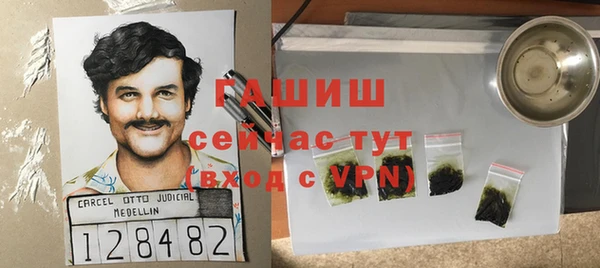шишки Белокуриха