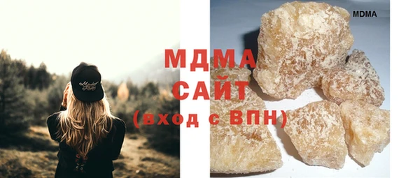 шишки Белокуриха