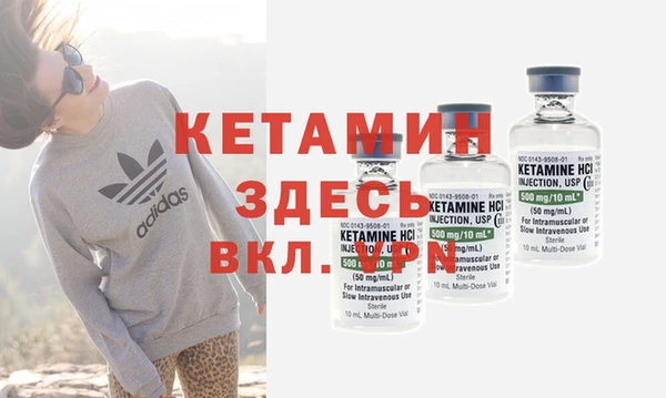шишки Белокуриха