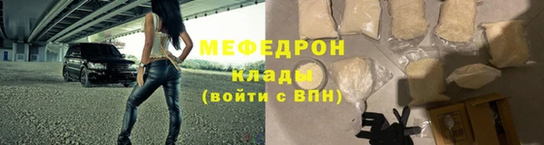 шишки Белокуриха