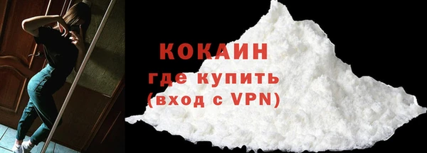 шишки Белокуриха
