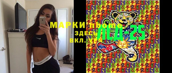 шишки Белокуриха
