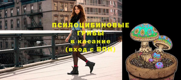 шишки Белокуриха