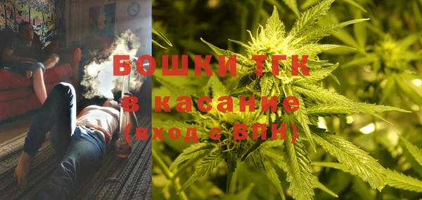 шишки Белокуриха