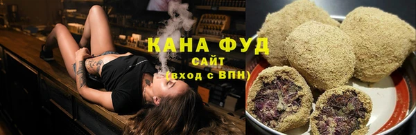 шишки Белокуриха
