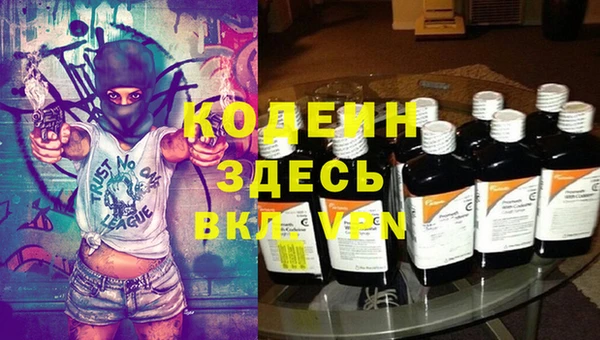 шишки Белокуриха