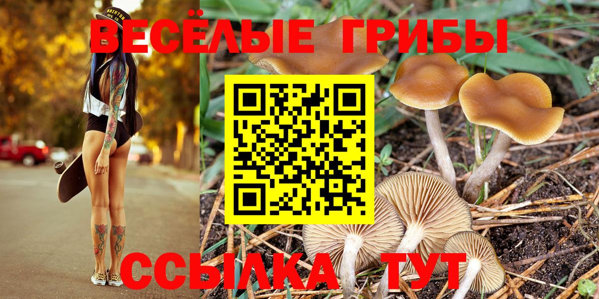 Свободный  Галлюциногенные грибы Cubensis  Вход с VPN  Галлюциногенные грибы MAGIC MUSHROOMS 